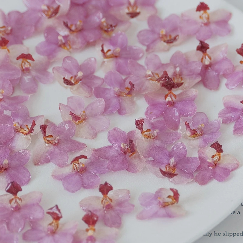 ชุดทำเครื่องประดับเรซิ่นสีชมพู - Jewelry Making Event บทวิจารณ์และราคา